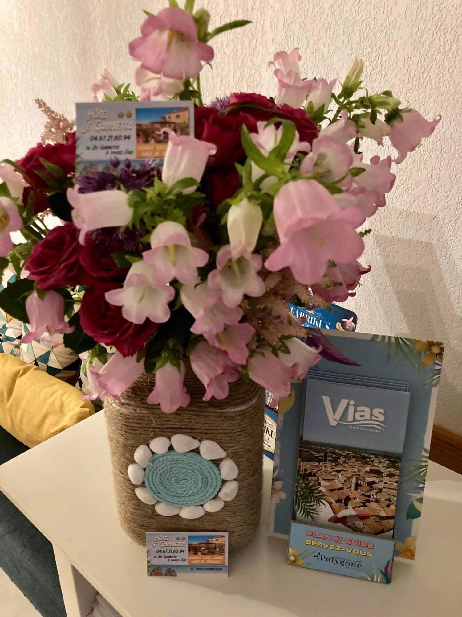 Hotel Le Gambetta Vias Εξωτερικό φωτογραφία
